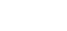 Polycom_wht