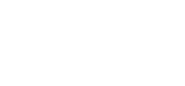 Pre-Sonic_wht