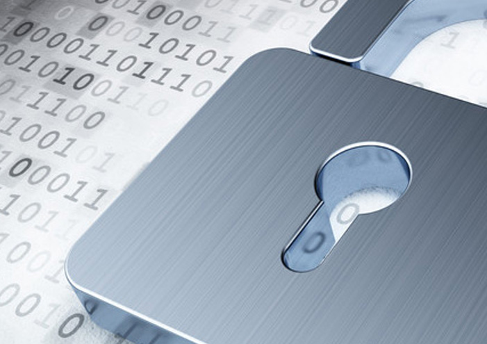 Network Security Protection Services